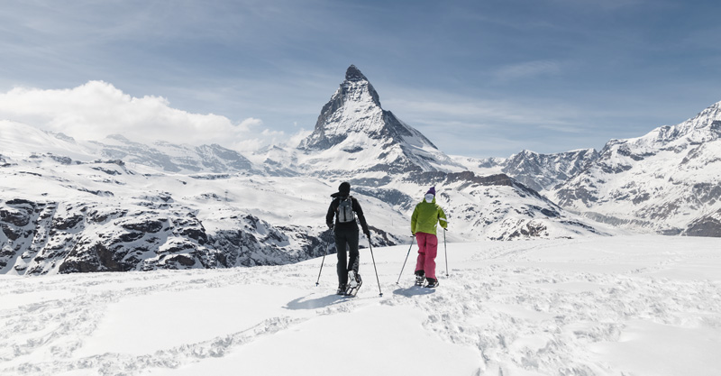 Ski Material